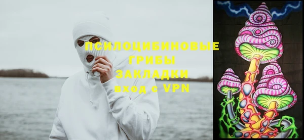 apvp Арсеньев